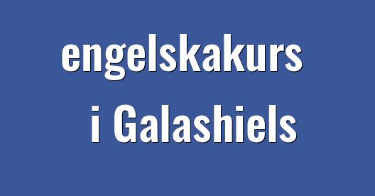 Facebook delningsbox stadssida