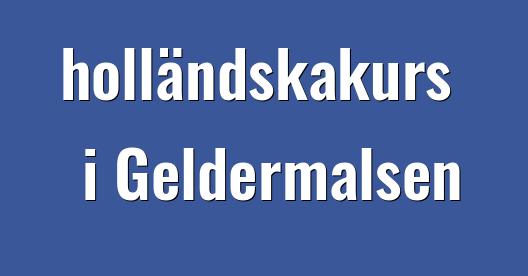 Facebook delningsbox stadssida