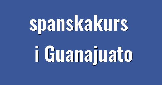 Facebook delningsbox stadssida