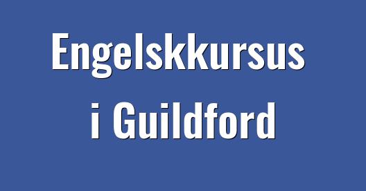 Facebook Share Box bybillede