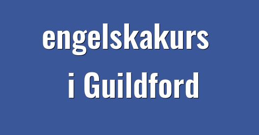 Facebook delningsbox stadssida