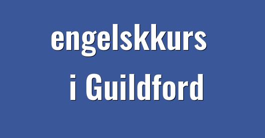 Facebook delingsboks bybilde