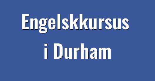 Facebook Share Box bybillede