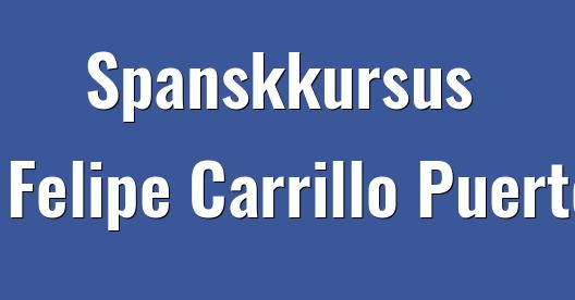 Facebook Share Box bybillede