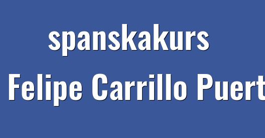 Facebook delningsbox stadssida