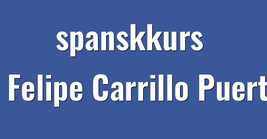 Facebook delingsboks bybilde