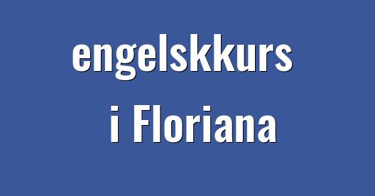 Facebook delingsboks bybilde
