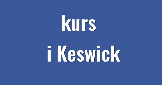 Facebook delningsbox stadssida