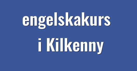 Facebook delningsbox stadssida