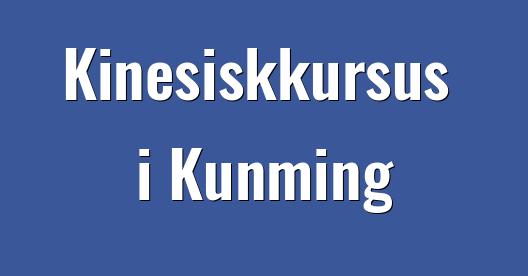 Facebook Share Box bybillede