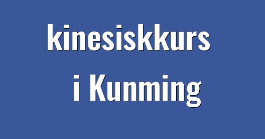Facebook delingsboks bybilde