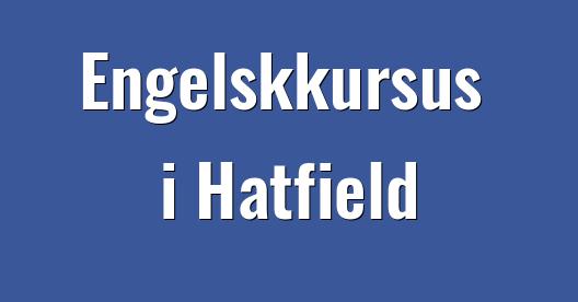 Facebook Share Box bybillede