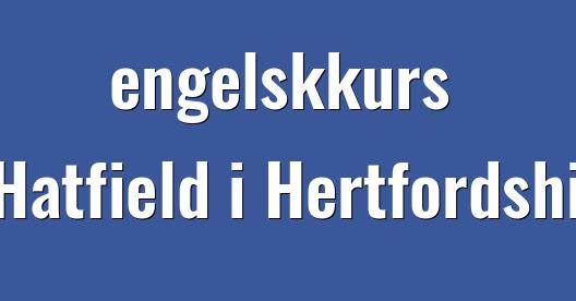 Facebook delingsboks bybilde