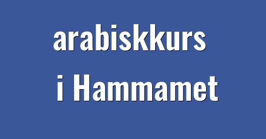 Facebook delingsboks bybilde