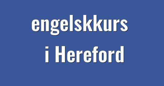 Facebook delingsboks bybilde