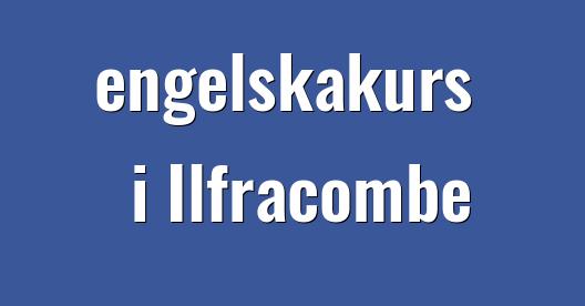 Facebook delningsbox stadssida