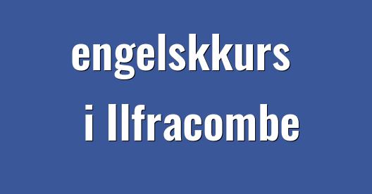 Facebook delingsboks bybilde