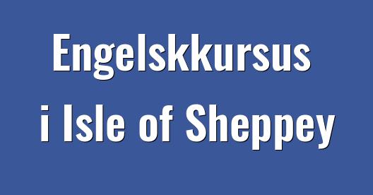 Facebook Share Box bybillede