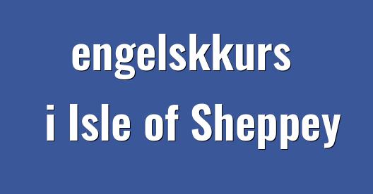 Facebook delingsboks bybilde