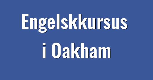Facebook Share Box bybillede
