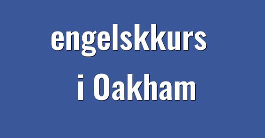 Facebook delingsboks bybilde