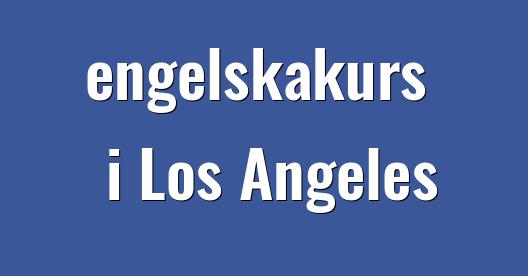 Facebook delningsbox stadssida