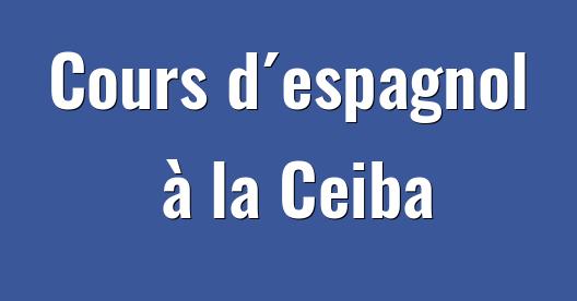 Boîte de partage Facebook d'images de la ville