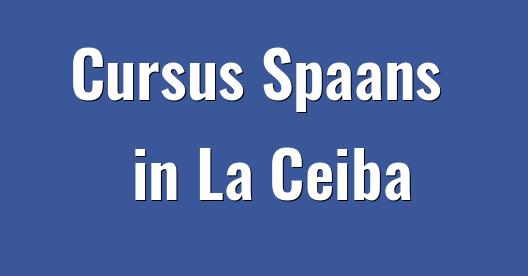 Facebook Share Box stadsbeeld
