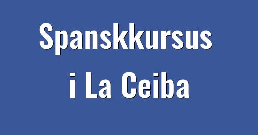 Facebook Share Box bybillede