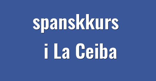 Facebook delingsboks bybilde