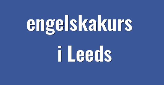 Facebook delningsbox stadssida