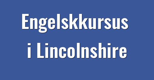 Facebook Share Box bybillede
