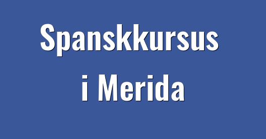 Facebook Share Box bybillede