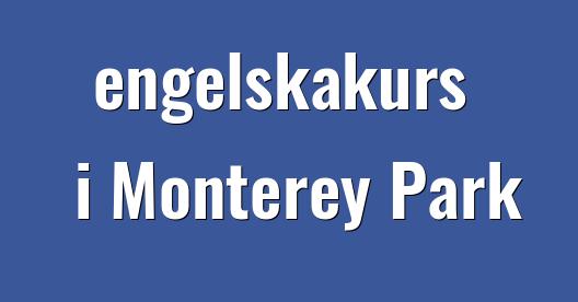 Facebook delningsbox stadssida