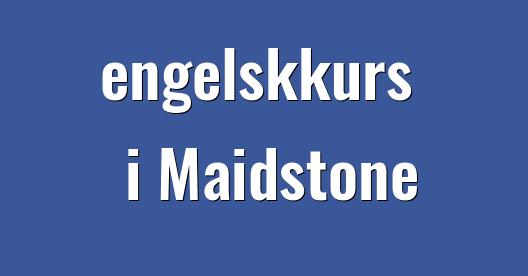 Facebook delingsboks bybilde