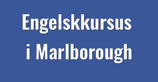Facebook Share Box bybillede