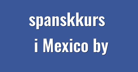 Facebook delingsboks bybilde
