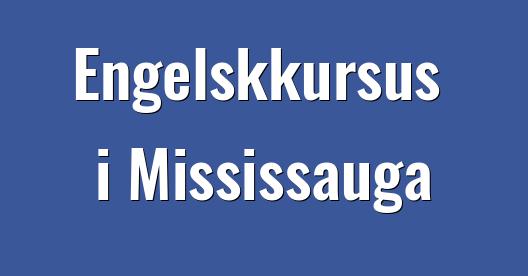 Facebook Share Box bybillede