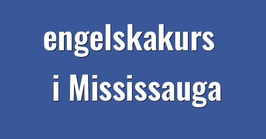 Facebook delningsbox stadssida