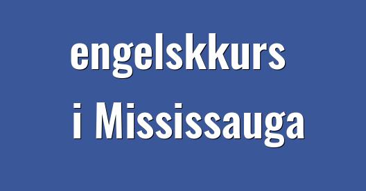 Facebook delingsboks bybilde