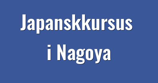Facebook Share Box bybillede