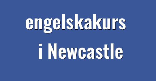Facebook delningsbox stadssida