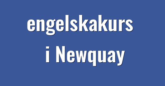 Facebook delningsbox stadssida
