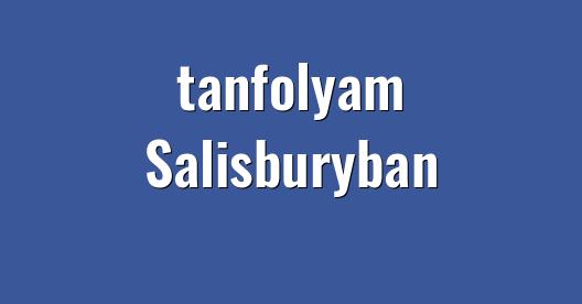 Facebook megosztási ablak városkép