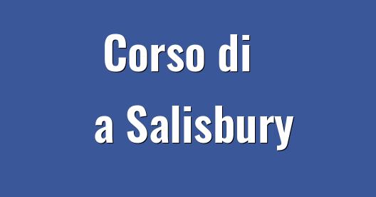 Immagine della città da condividere su Facebook 