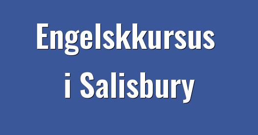 Facebook Share Box bybillede
