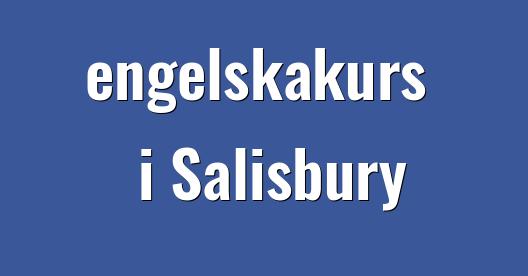 Facebook delningsbox stadssida