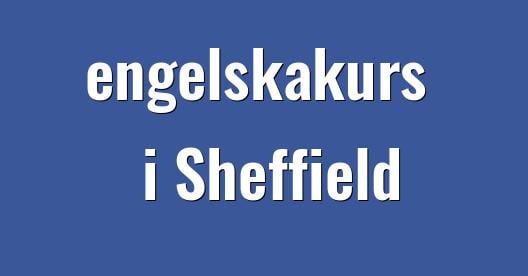 Facebook delningsbox stadssida