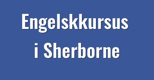 Facebook Share Box bybillede