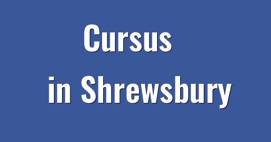 Facebook Share Box stadsbeeld